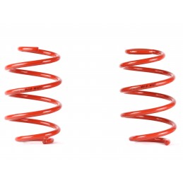 Sport suspension springs. Muelle suspension sport - MABILSA