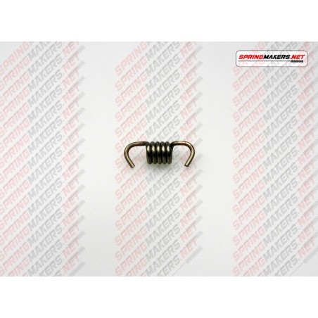 Variator clutch shoe spring M48MC0710002