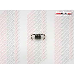 Variator clutch shoe spring...