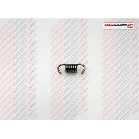 Variator clutch shoe spring M48MC0710001