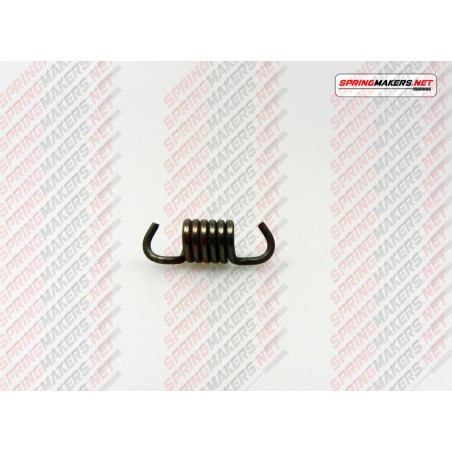 Variator clutch shoe spring M48MC1110007