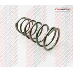 VARIATOR PULLEY SPRING...