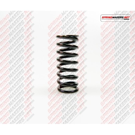 CLUTCH SPRING DUCATI M59MCPF4877