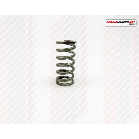 CLUTCH SPRING DERBI M59MC1370003