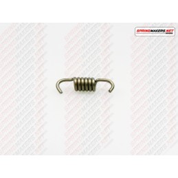 Variator clutch shoe spring...